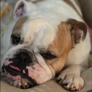 Meet your Posher, Frank